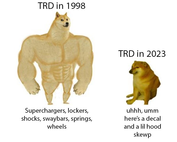 turrrrrd.png