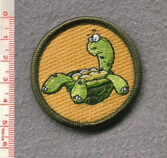 turtle-1.jpg