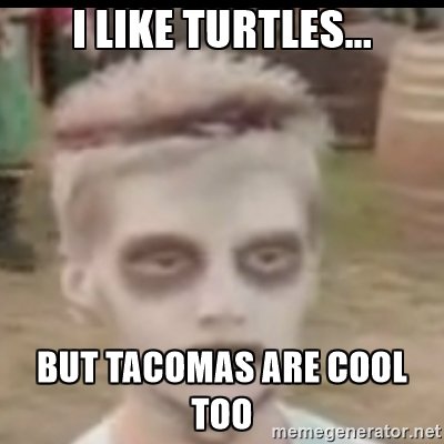 Turtles.jpg