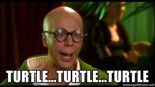 turtleturtleturtle.jpg
