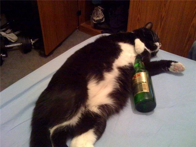 tuxdrunk2.jpg
