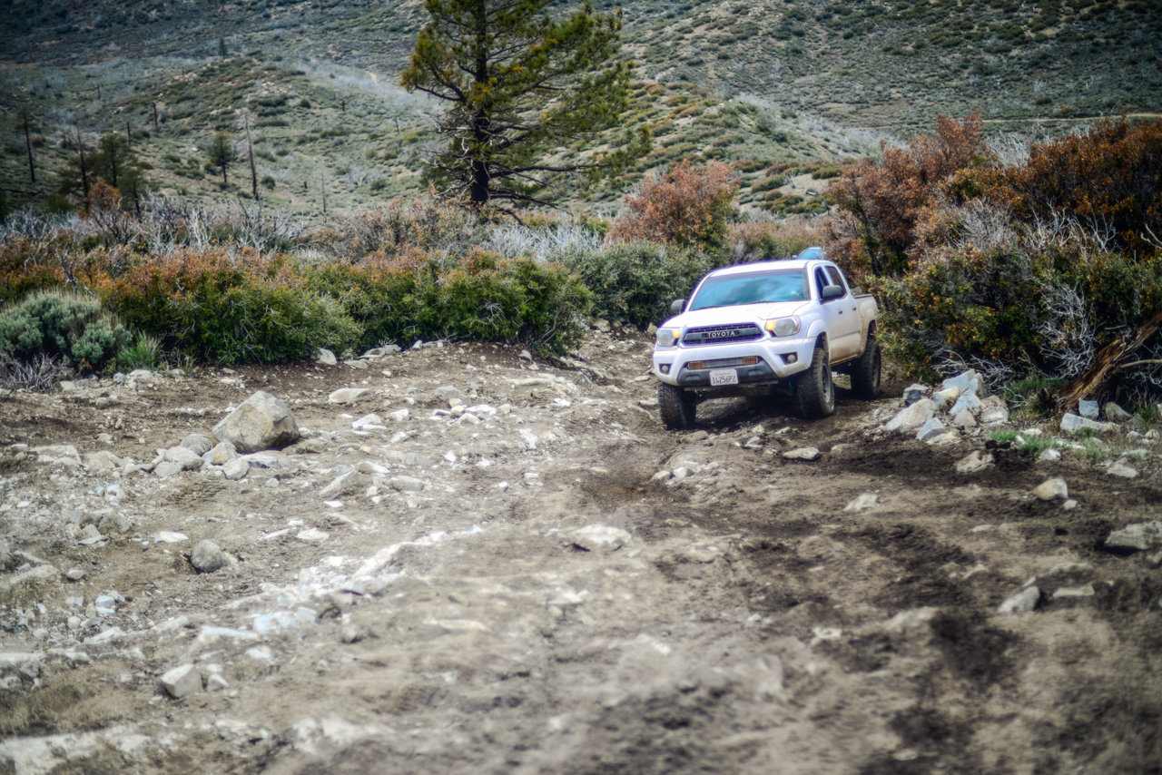 TW WHITE MOUNTAIN-15.jpg