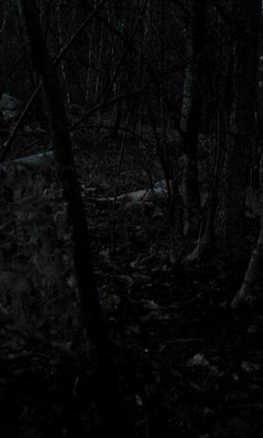 TW3_c18fa3d7ec6d157bf5ce3c2ce793b21882ea7de6.jpg
