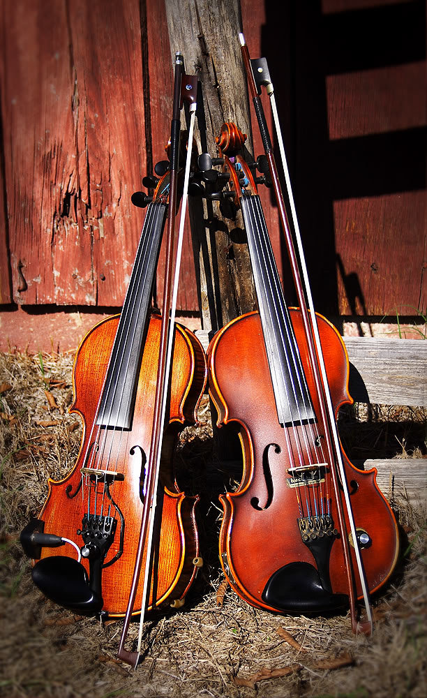 Twin-Fiddles_27ec0f7e1c0c4752e618b2cc63076be8fb5e3102.jpg