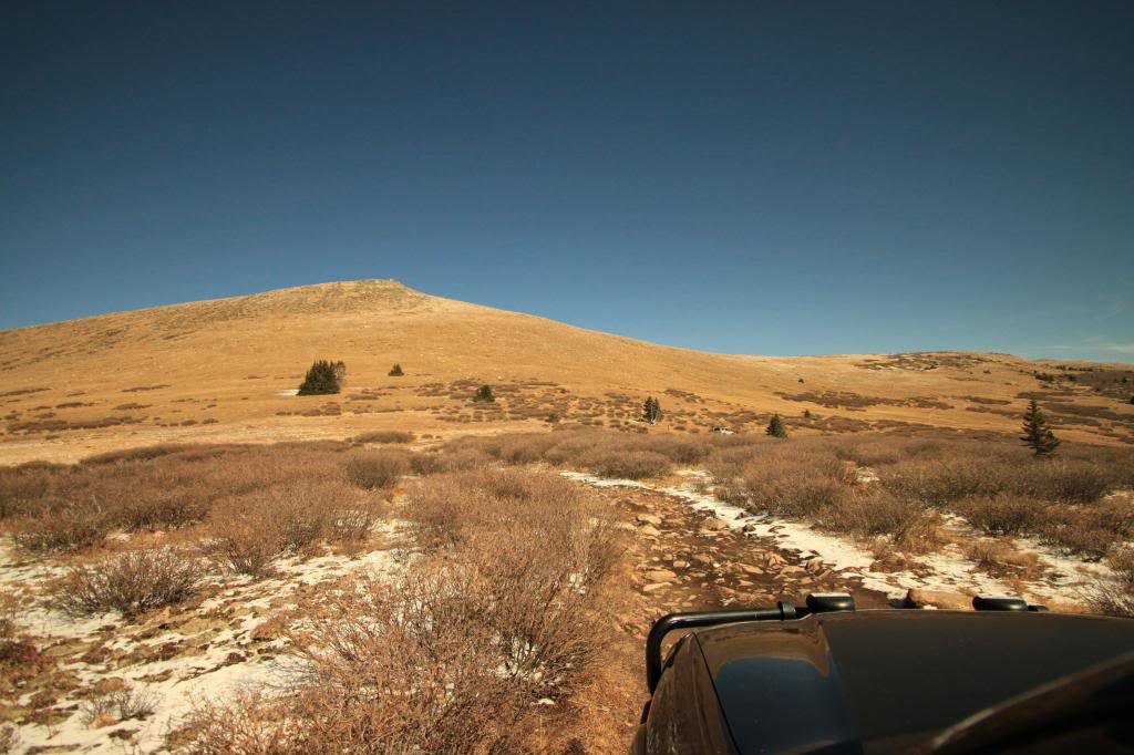 TwinCone-29_zpsa6bbdb15_2372f37c41ed5e9a2f2d04d4b321b144fc28621c.jpg