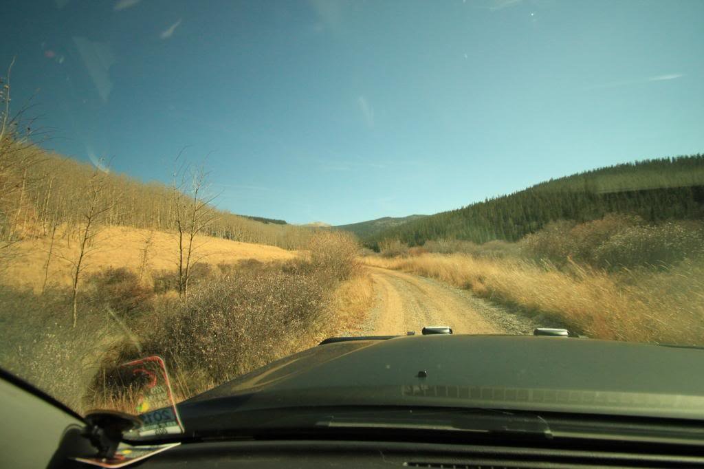 TwinCone-5_zps8e346e2d_b546eda6e340a2e46bbe5cd2afc56103aa12560f.jpg
