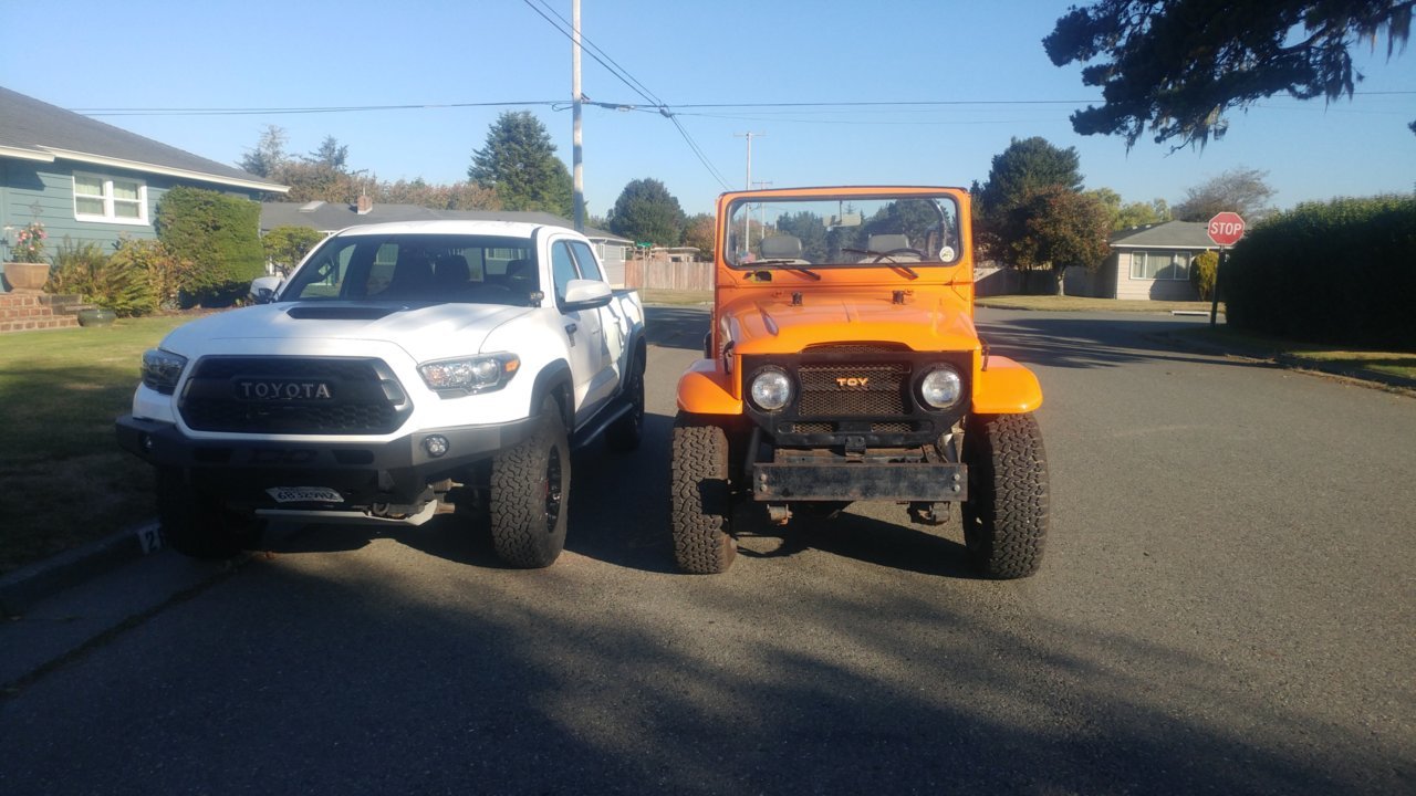 Two Toys (2).jpg