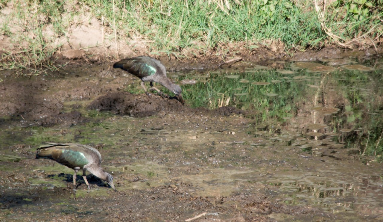 two unidentified (1 of 1).jpg