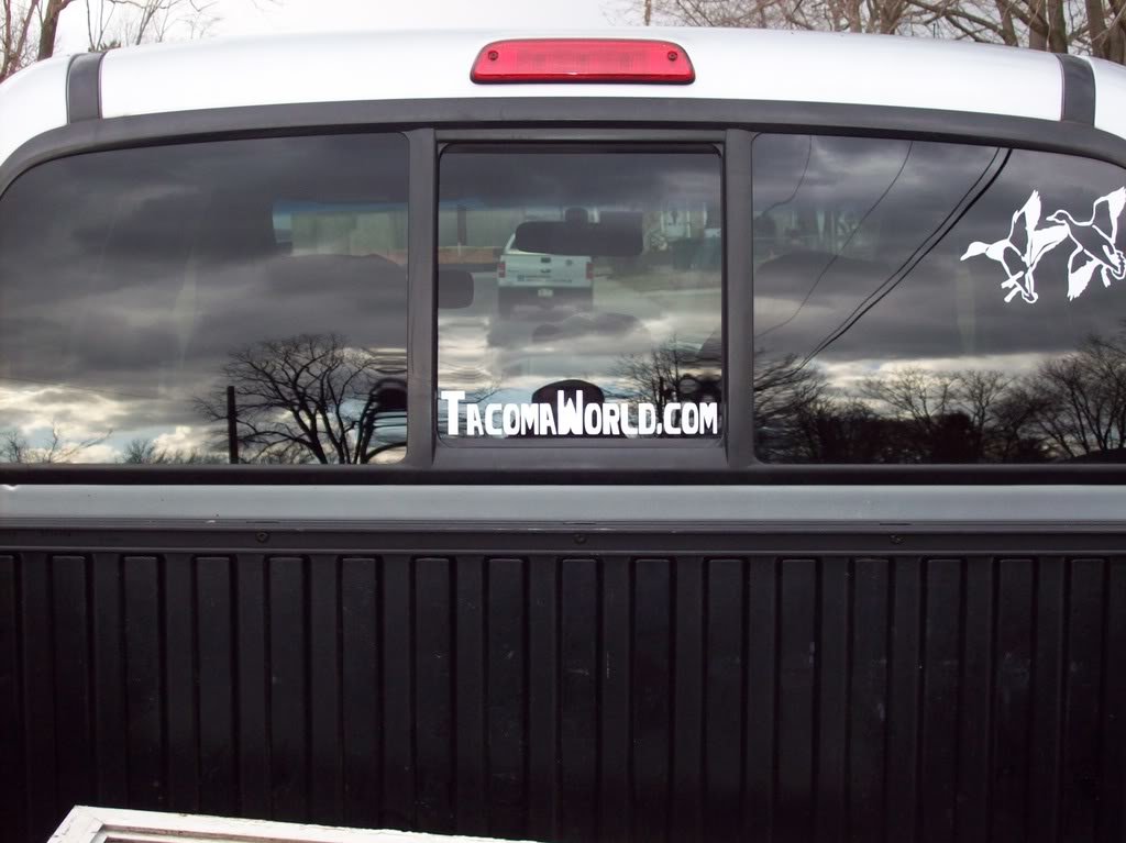 TWSTICK1_a6a0e291ea6300948efccaa59dfa1a6060dedc92.jpg