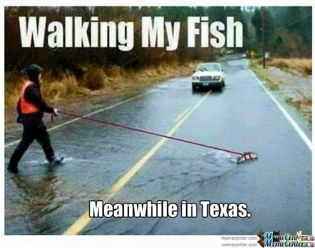 TX.jpg