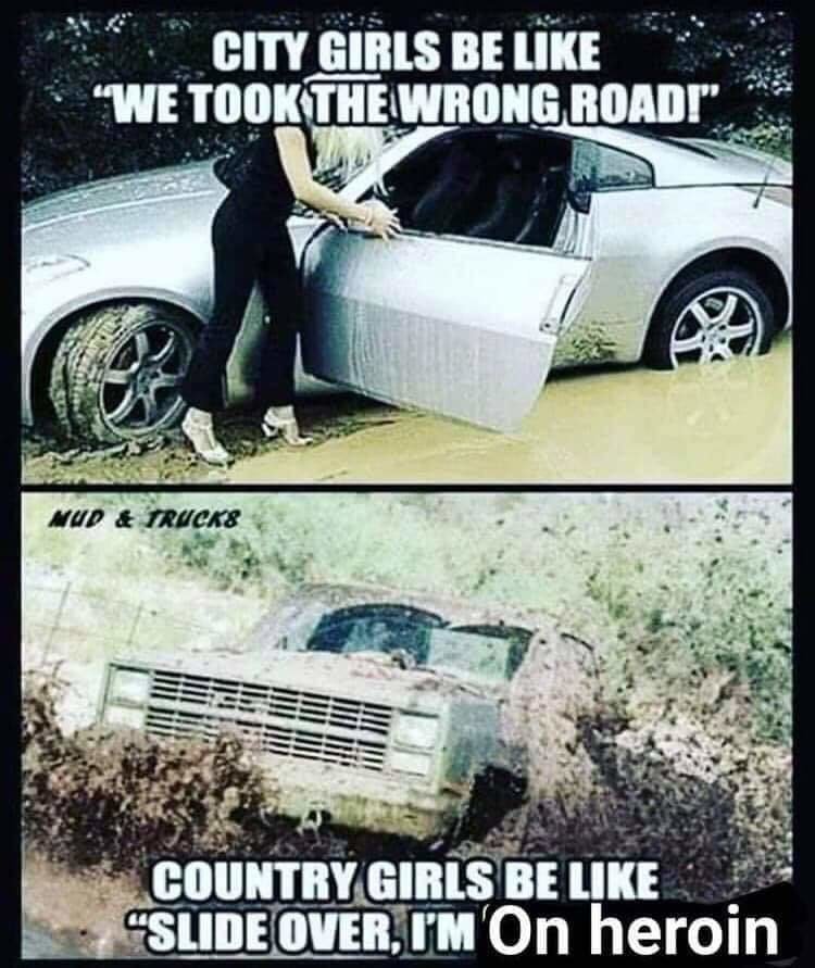 txy2tq4f7iz31.jpg
