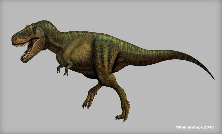 Tyrannosaurus_rex_by_pabluratops_49dd.jpg