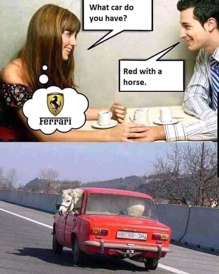 tzpcfnfswxk31.jpg