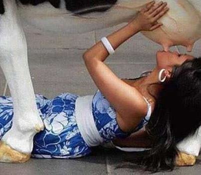 Udder.jpg