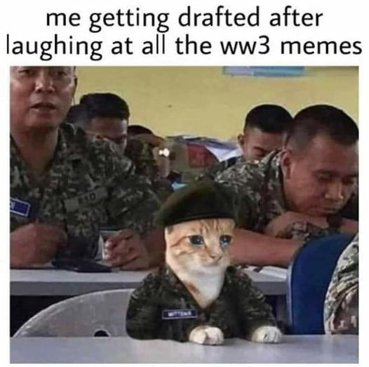 Ukraine cat.jpg