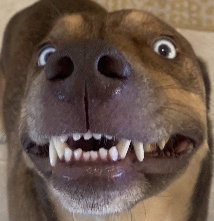 Ullie26.jpg
