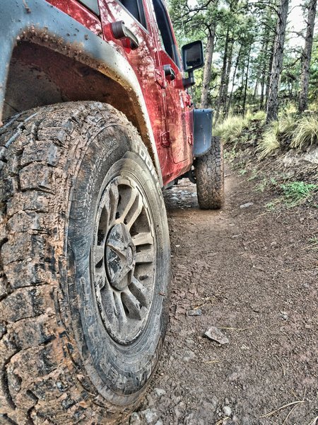 Ultimate_HDR_Camera_20160801_071255.jpg