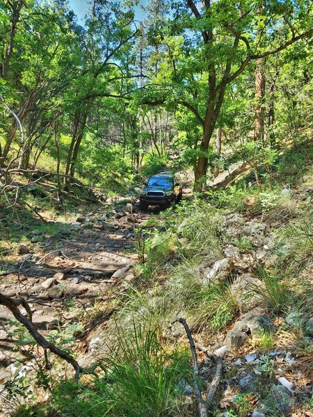Ultimate_HDR_Camera_20160816_101127.jpg