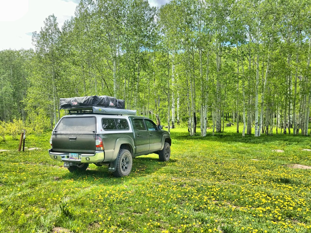Ultimate_HDR_Camera_20170613_142726.jpg