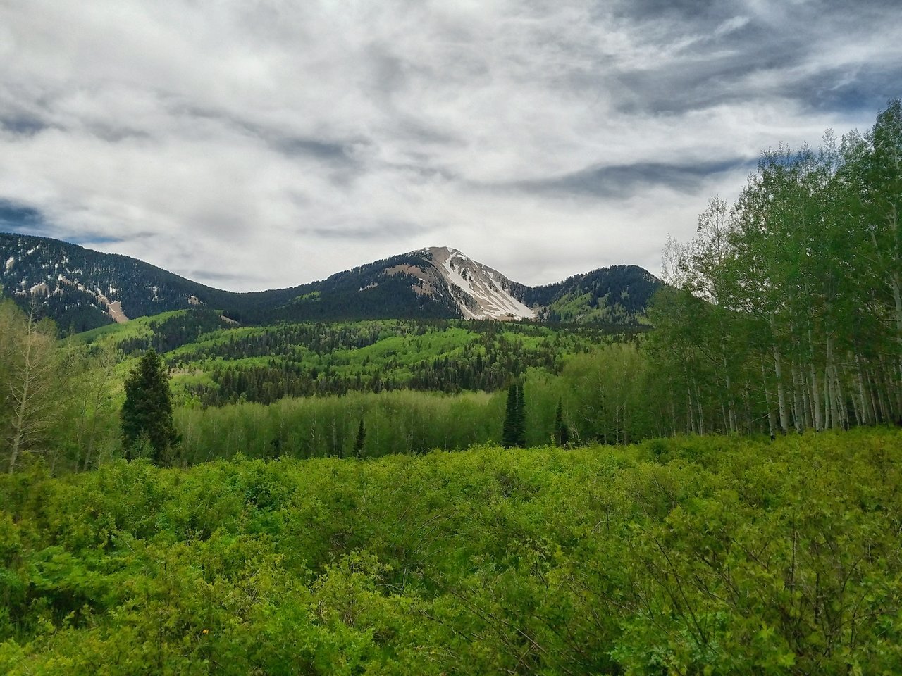 Ultimate_HDR_Camera_20170613_142957.jpg
