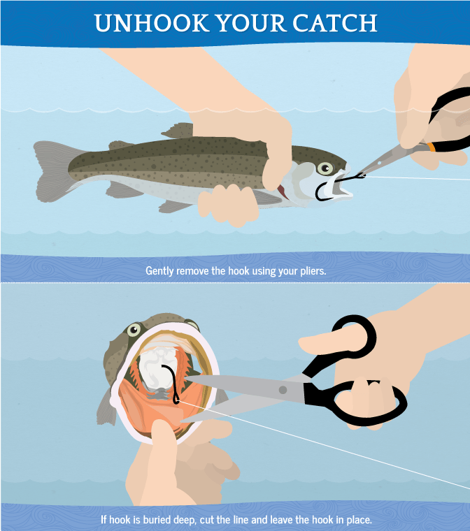 unhook-your-catch.png
