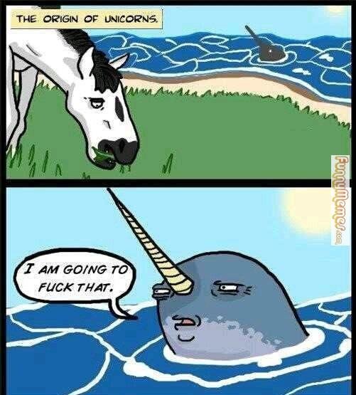 unicorn1.jpg