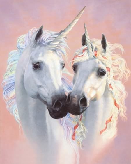 unicorn2_c43fbeb82889d1c93f6f47e09ac6830e880ea4d0.jpg