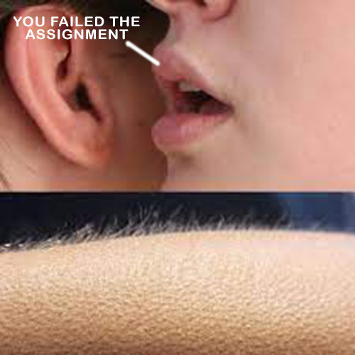 Unknown-1.jpg