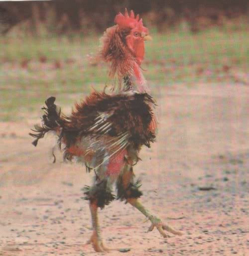 Unknown-3.jpg