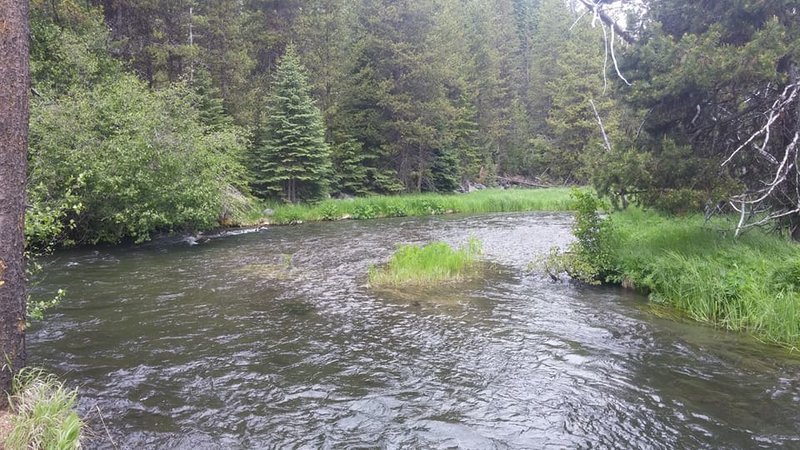 Unknown Creek.jpg