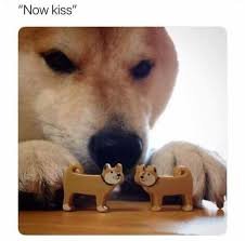 Unknown.jpg