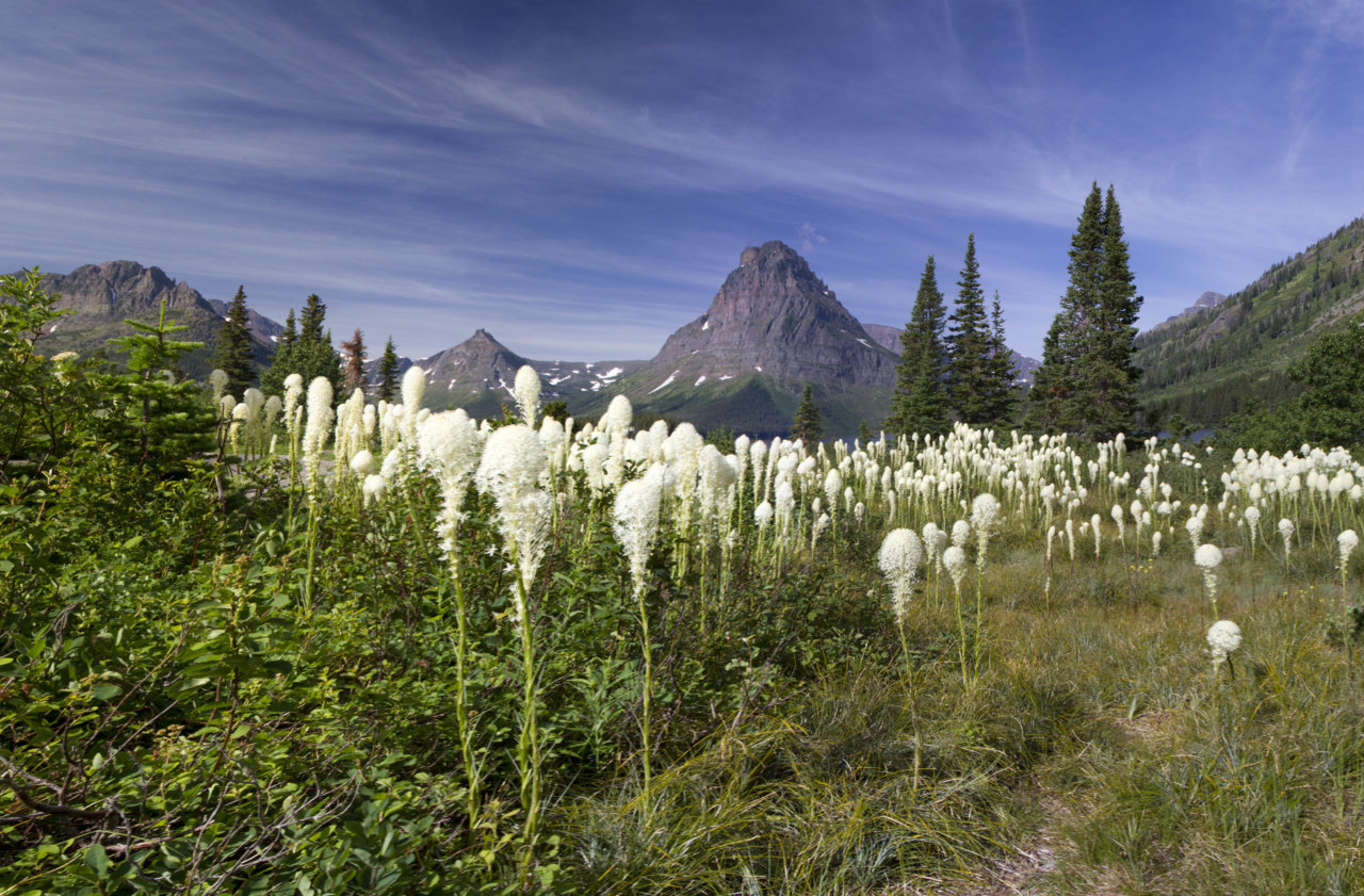 Untitled_Panorama1x.jpg