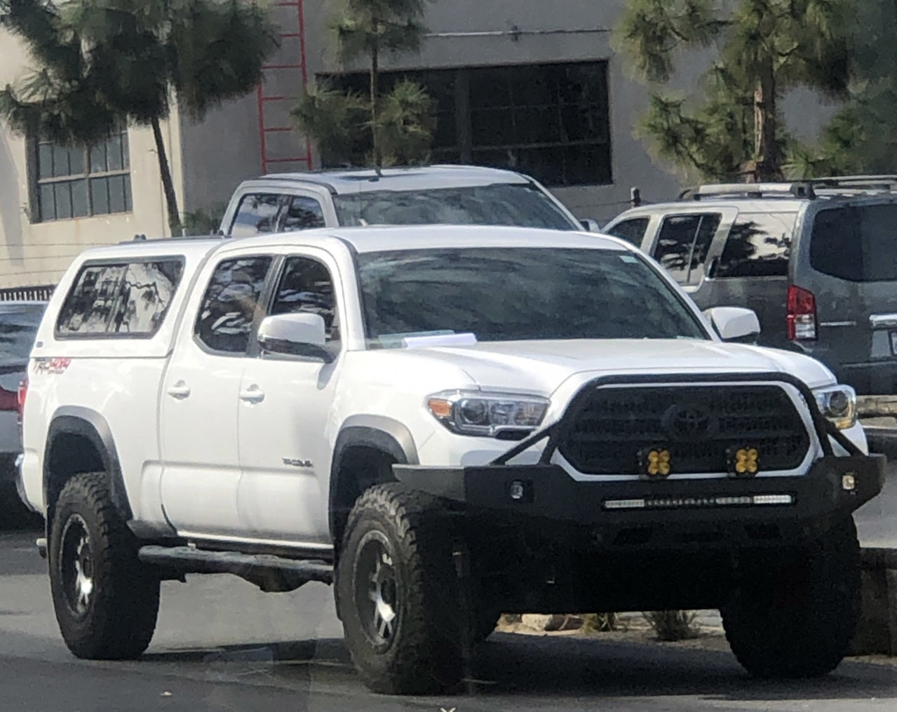 Updated Taco.jpg
