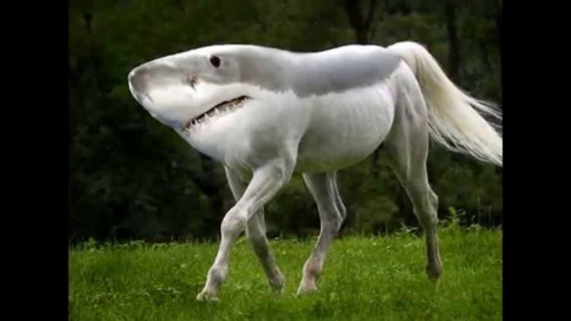 upload_2016-5-16_22-15-9.jpg