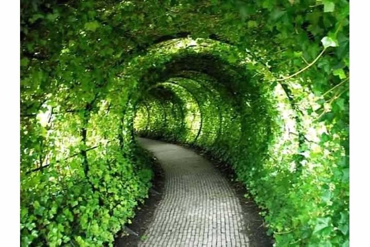upload_2016-5-2_21-55-21.jpg