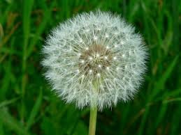 upload_2016-8-15_8-26-15.jpg