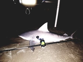 upload_2017-10-16_8-45-46.jpg