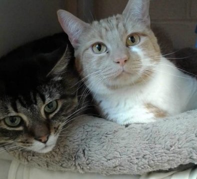 upload_2017-2-20_21-48-24.jpg