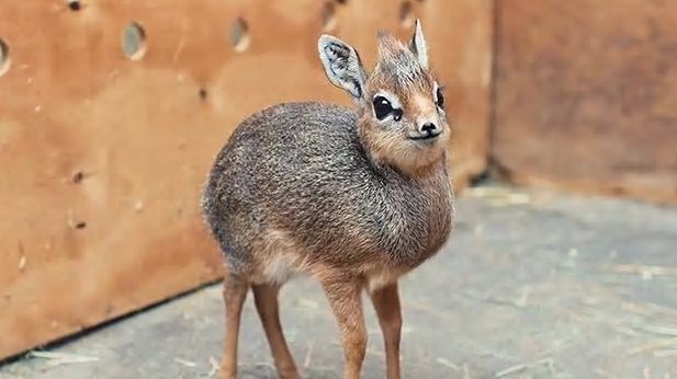 upload_2017-8-22_14-11-17.jpg