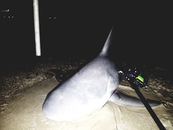 upload_2017-9-15_8-56-51.jpg