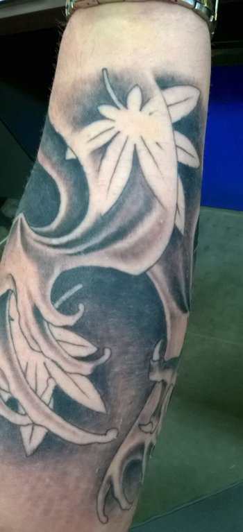 upload_2017-9-6_12-29-25.jpg