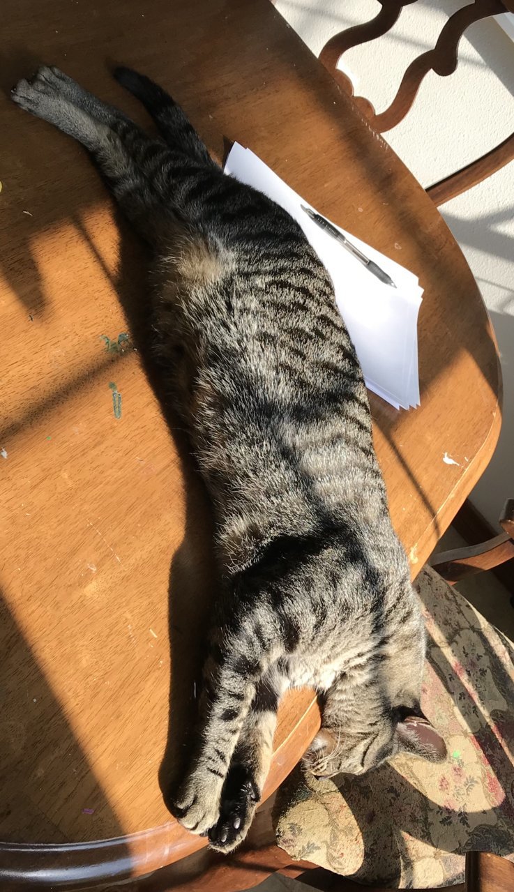 upload_2018-4-26_0-29-24.jpg