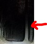 upload_2018-6-29_15-39-44.jpg