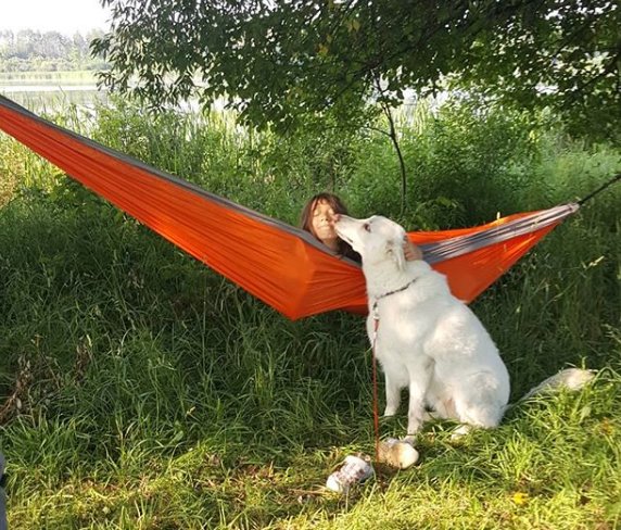upload_2018-7-19_16-33-24.jpg