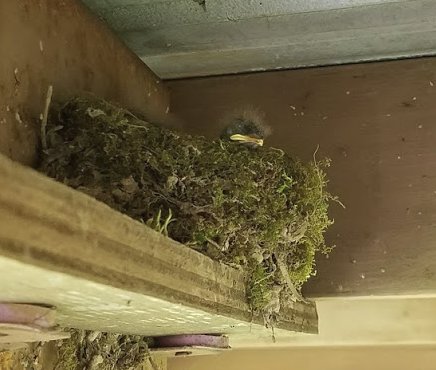 upload_2018-7-21_16-45-22.jpg