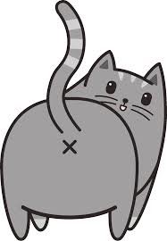 upload_2019-10-10_10-26-52.jpg