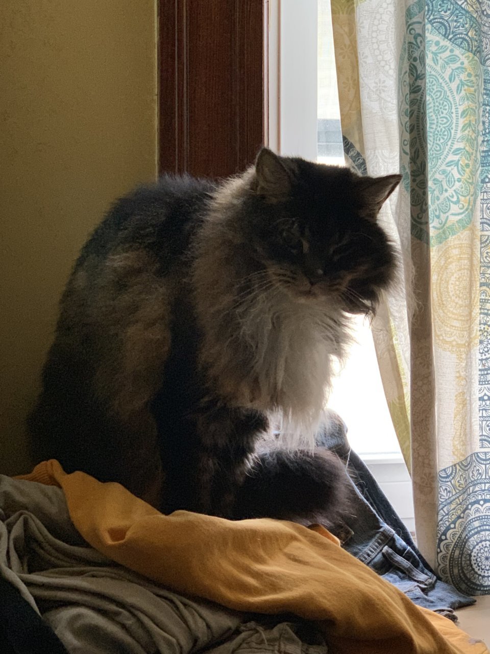 upload_2019-11-13_23-41-25.jpg