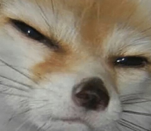 upload_2019-11-21_8-8-3.jpg