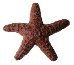 upload_2019-2-17_23-47-40.jpg