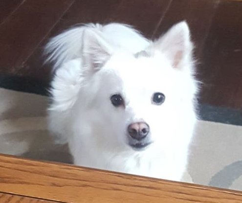 upload_2019-2-1_16-15-45.jpg